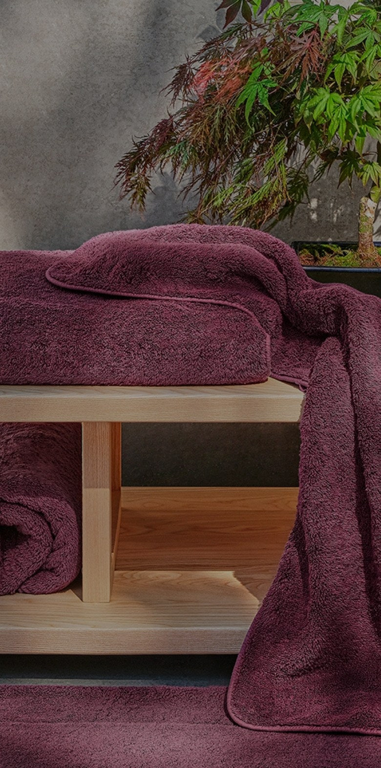 Purple bath towels on a wooden shelf beside a bonsai tree